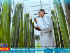 Odobrena nova strategija za biogospodarstvo