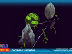 MSCA dodjeljuje 404,3 milijuna eura postdoktorskim istraživačima