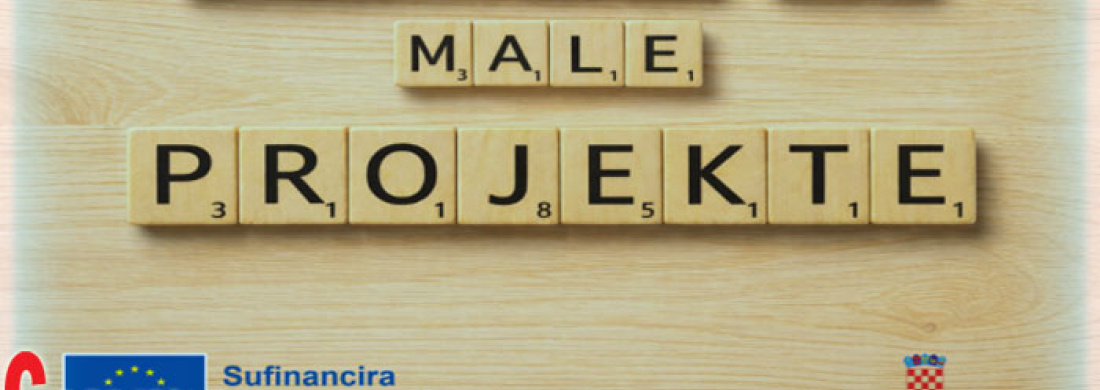 Poziv za projekte lokalnih udruga u okviru programa Impact4Values 2.0