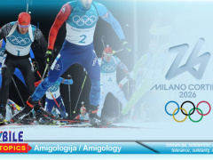 Zašto toliko zimskih olimpijskih sportaša traži financijsku potporu?