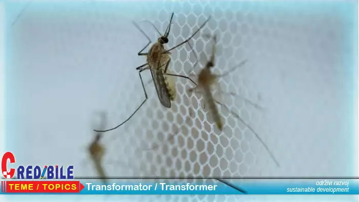 Zbog klimatskih promjena sve su češće virusne bolesti u Europi koje prenose komarci