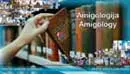 menu-amigologija-f
