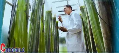 Odobrena nova strategija za biogospodarstvo
