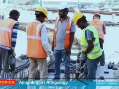 Zarađuju li imigranti manje od domaćih radnika?