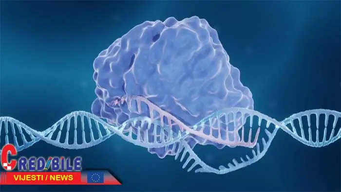 crispr2